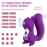 Squirrel Toys
